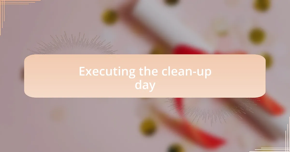 Executing the clean-up day