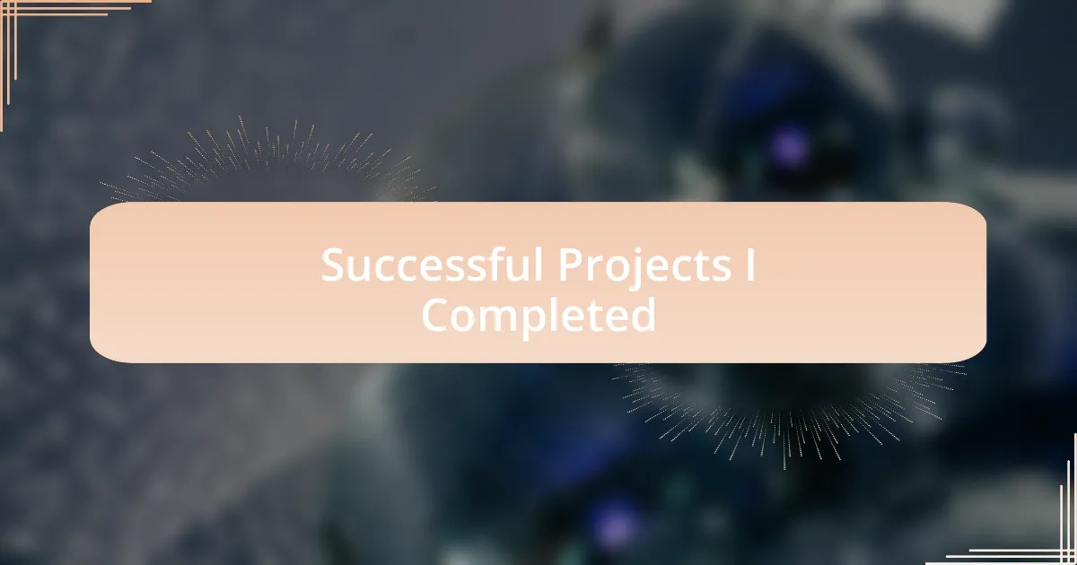 Successful Projects I Completed